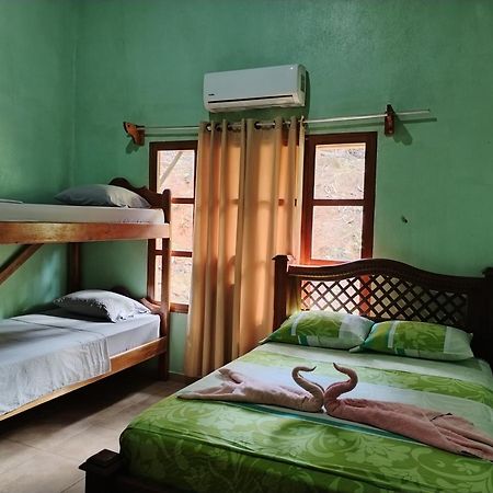 Osa House - Drake Corcovado Tours Bed & Breakfast Drake Bay Ngoại thất bức ảnh