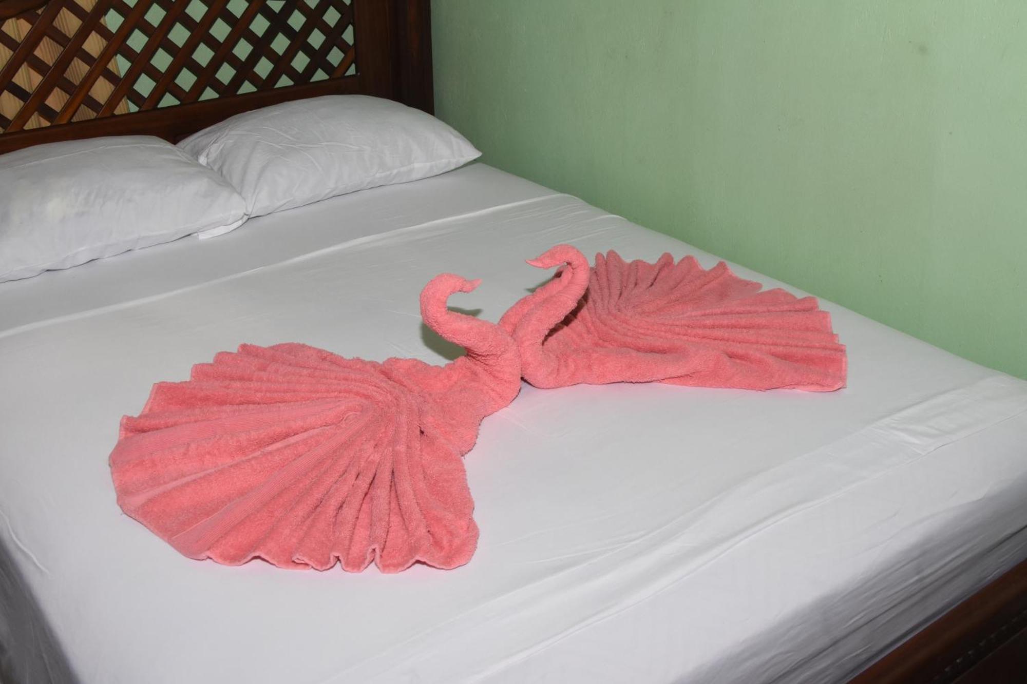 Osa House - Drake Corcovado Tours Bed & Breakfast Drake Bay Ngoại thất bức ảnh