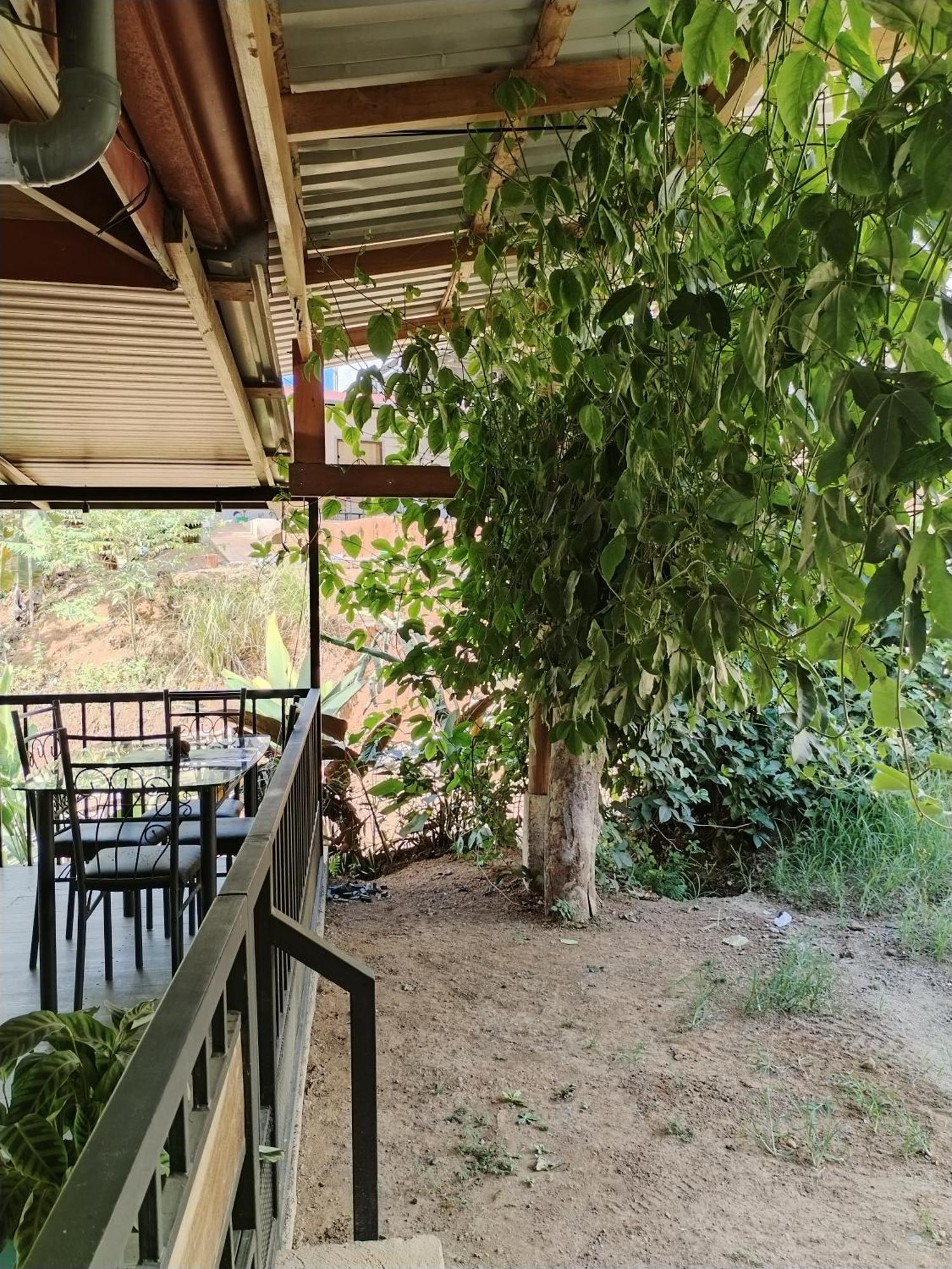 Osa House - Drake Corcovado Tours Bed & Breakfast Drake Bay Ngoại thất bức ảnh