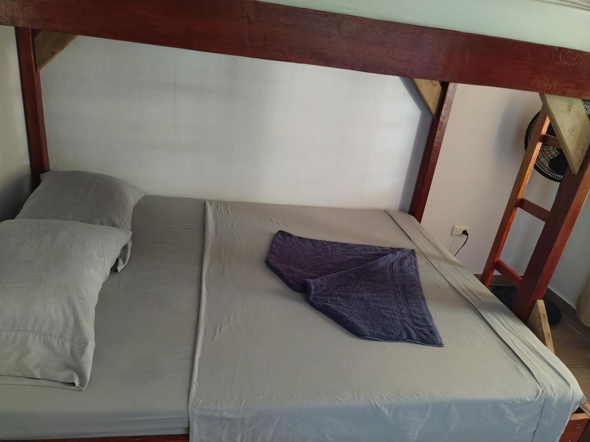 Osa House - Drake Corcovado Tours Bed & Breakfast Drake Bay Ngoại thất bức ảnh