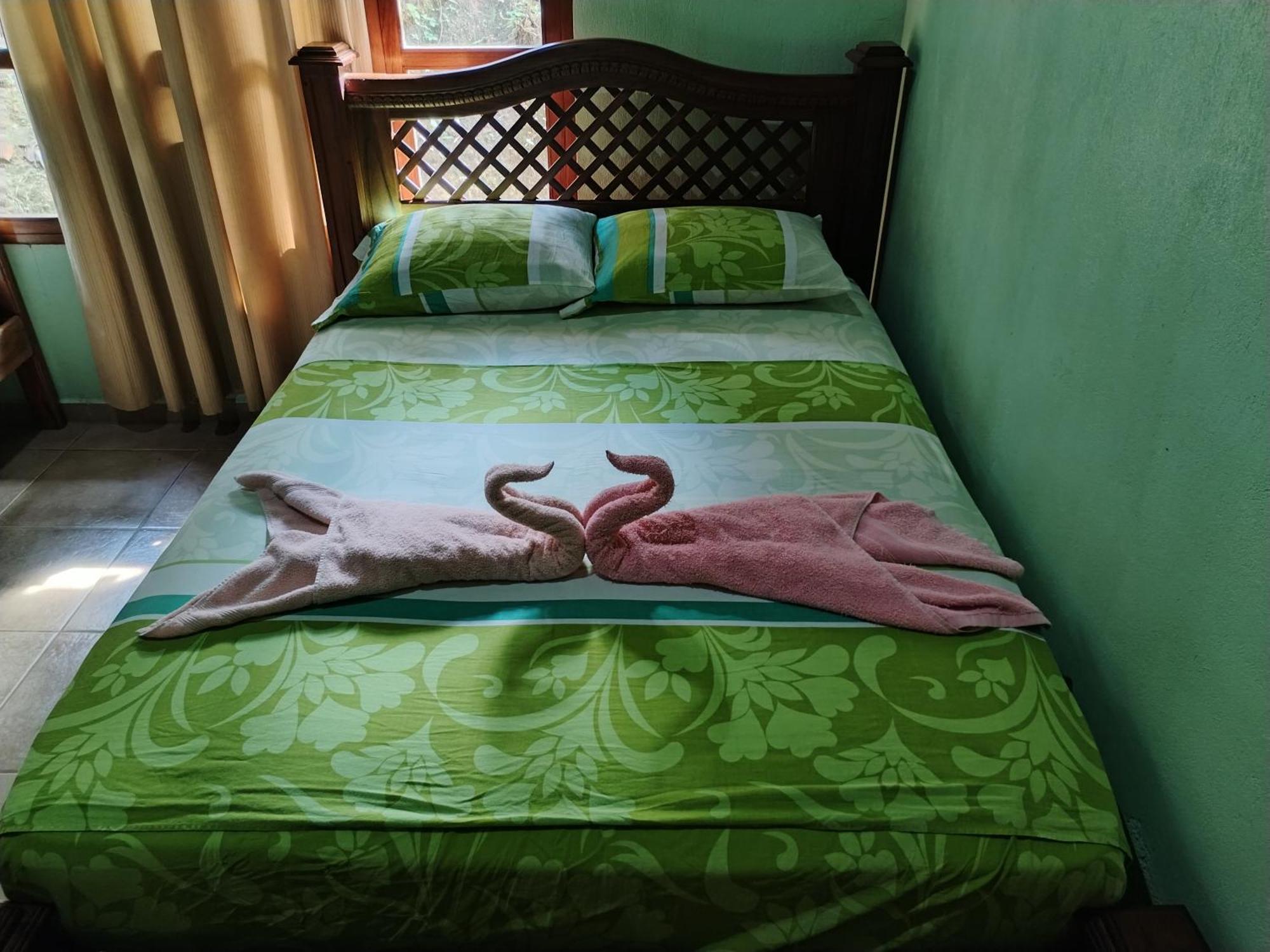 Osa House - Drake Corcovado Tours Bed & Breakfast Drake Bay Ngoại thất bức ảnh