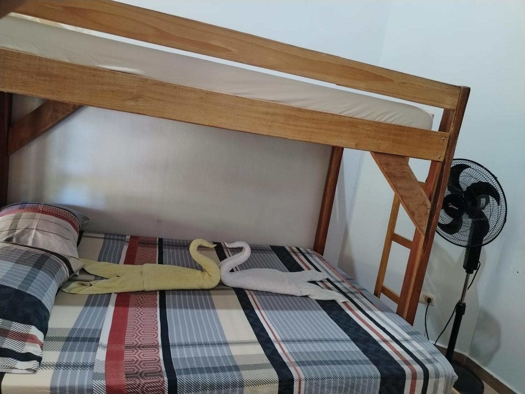 Osa House - Drake Corcovado Tours Bed & Breakfast Drake Bay Ngoại thất bức ảnh